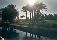 [luxor07]