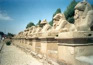 [luxor25]