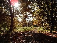 [Herbstweg]