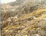 [berge04]