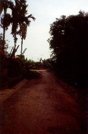 [kumba01]