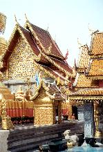 [chiangmai20]