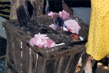 [thonburi04]